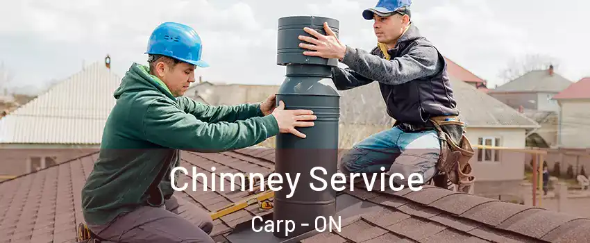  Chimney Service Carp - ON