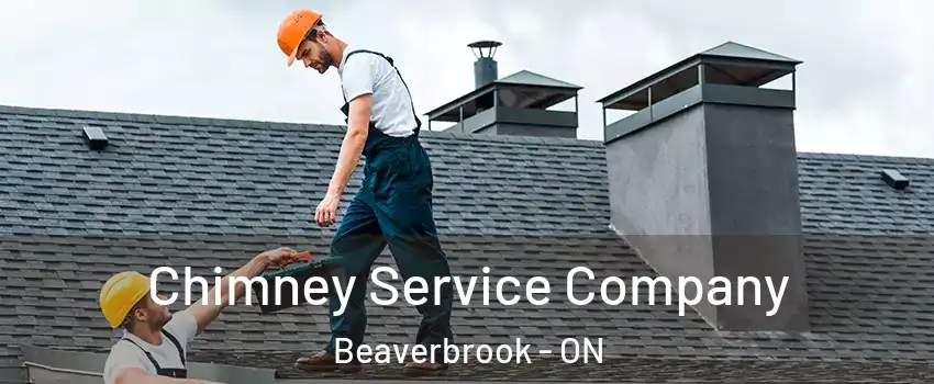  Chimney Service Company Beaverbrook - ON