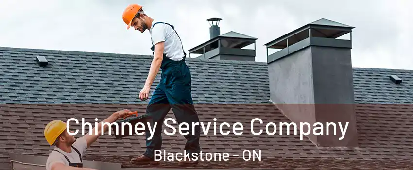  Chimney Service Company Blackstone - ON