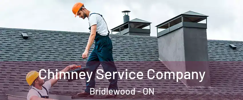  Chimney Service Company Bridlewood - ON