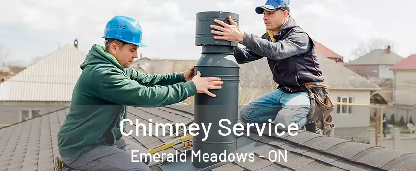  Chimney Service Emerald Meadows - ON