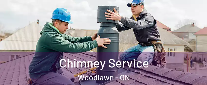  Chimney Service Woodlawn - ON