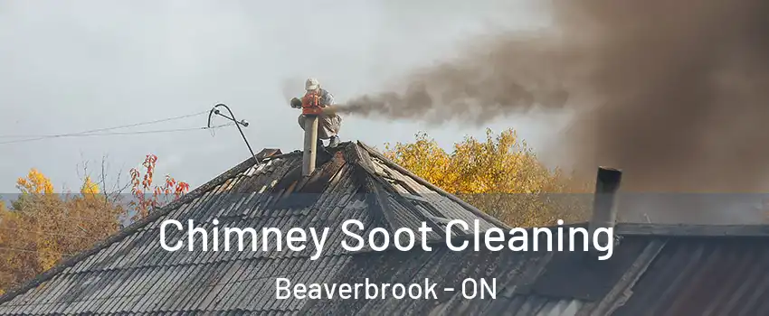 Chimney Soot Cleaning Beaverbrook - ON