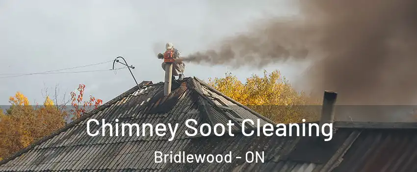 Chimney Soot Cleaning Bridlewood - ON