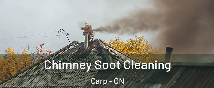 Chimney Soot Cleaning Carp - ON