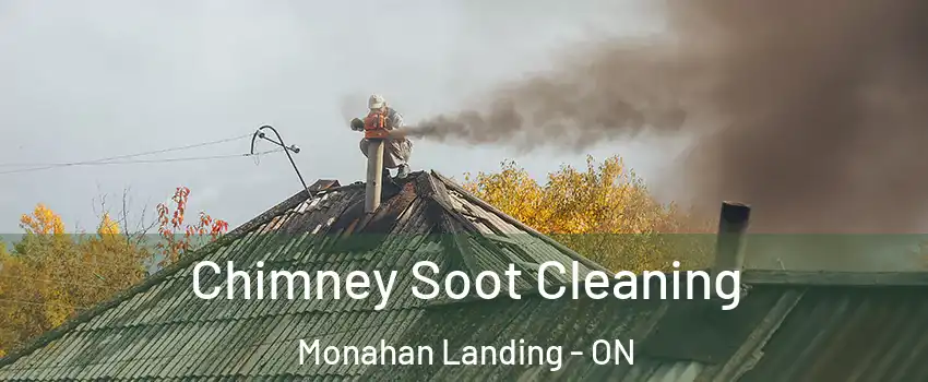  Chimney Soot Cleaning Monahan Landing - ON