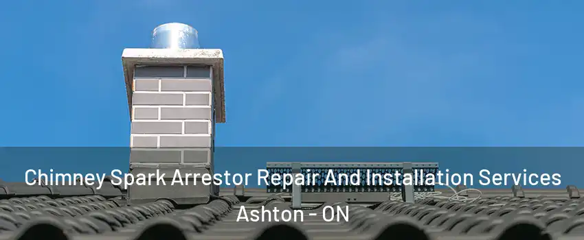 Chimney Spark Arrestor Repair And Installation Services Ashton - ON