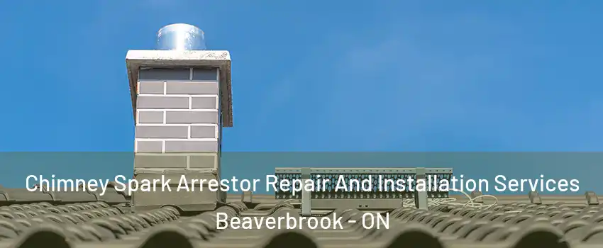 Chimney Spark Arrestor Repair And Installation Services Beaverbrook - ON