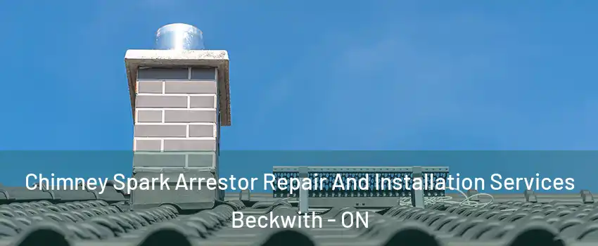  Chimney Spark Arrestor Repair And Installation Services Beckwith - ON
