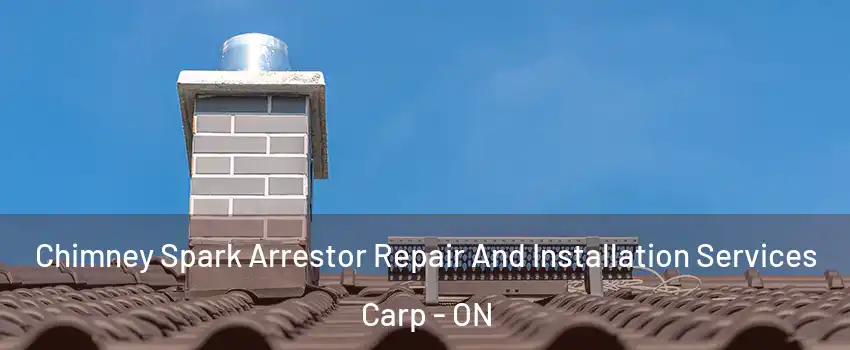Chimney Spark Arrestor Repair And Installation Services Carp - ON