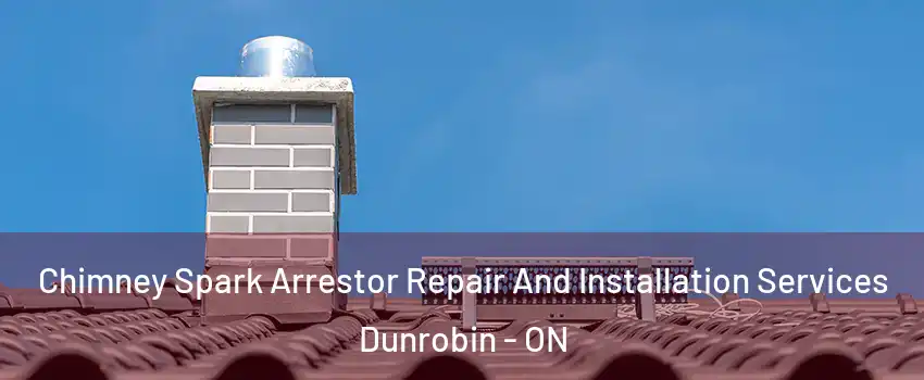  Chimney Spark Arrestor Repair And Installation Services Dunrobin - ON