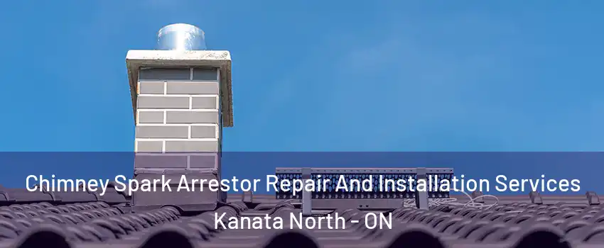  Chimney Spark Arrestor Repair And Installation Services Kanata North - ON