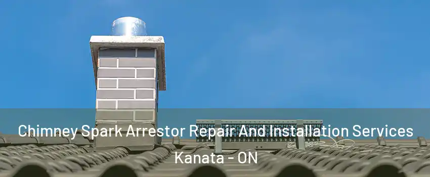  Chimney Spark Arrestor Repair And Installation Services Kanata - ON