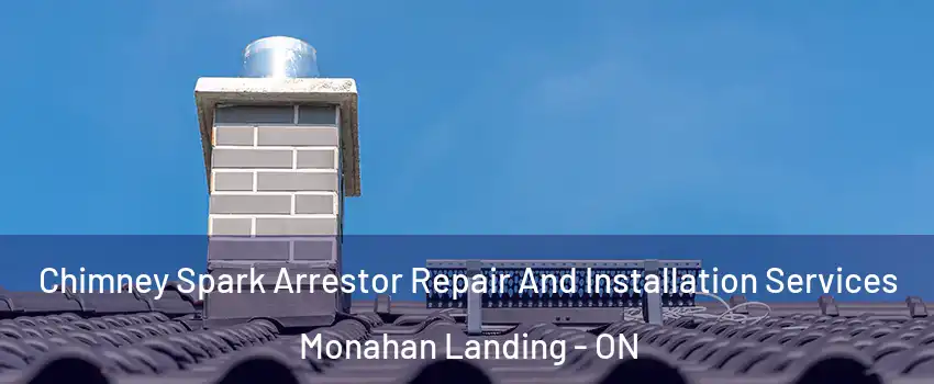  Chimney Spark Arrestor Repair And Installation Services Monahan Landing - ON