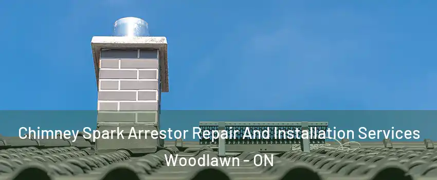 Chimney Spark Arrestor Repair And Installation Services Woodlawn - ON