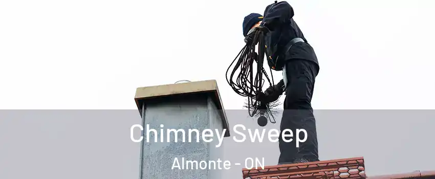  Chimney Sweep Almonte - ON
