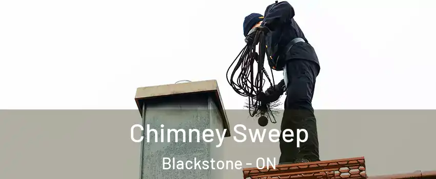 Chimney Sweep Blackstone - ON