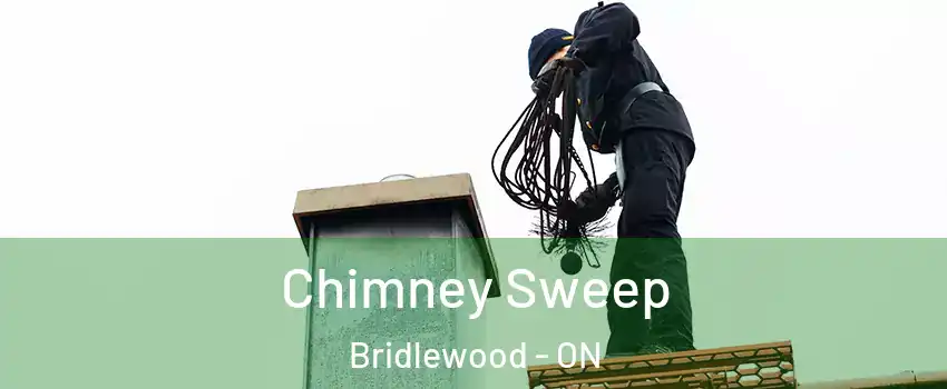Chimney Sweep Bridlewood - ON
