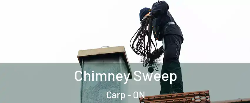  Chimney Sweep Carp - ON
