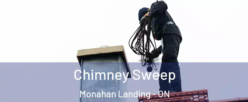  Chimney Sweep Monahan Landing - ON