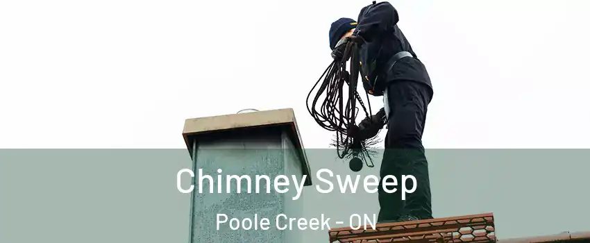  Chimney Sweep Poole Creek - ON