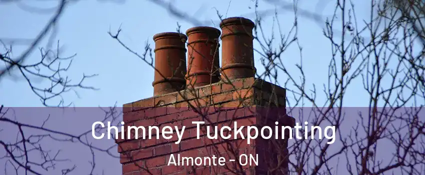  Chimney Tuckpointing Almonte - ON