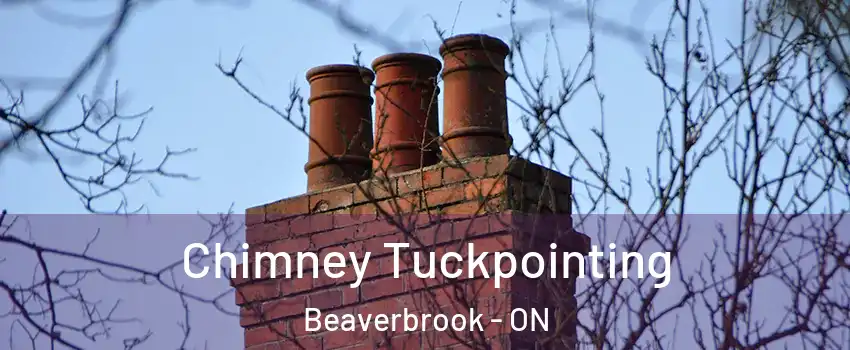  Chimney Tuckpointing Beaverbrook - ON