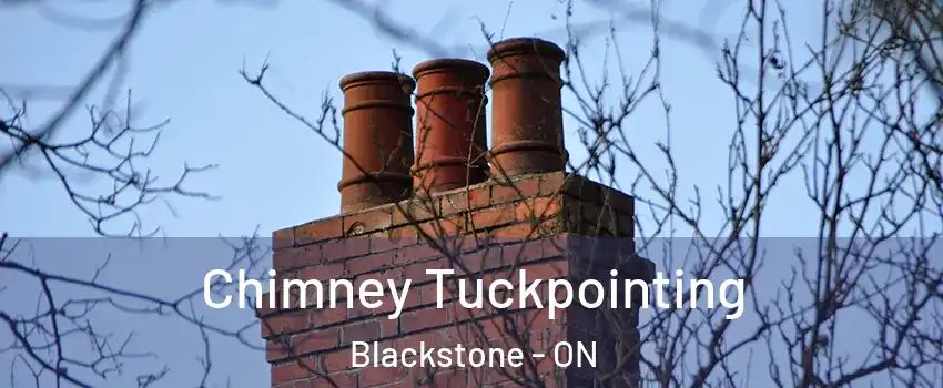  Chimney Tuckpointing Blackstone - ON