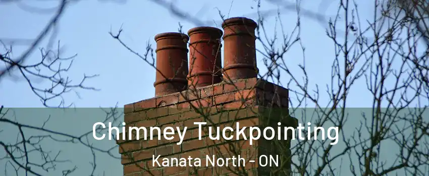  Chimney Tuckpointing Kanata North - ON