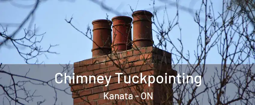  Chimney Tuckpointing Kanata - ON