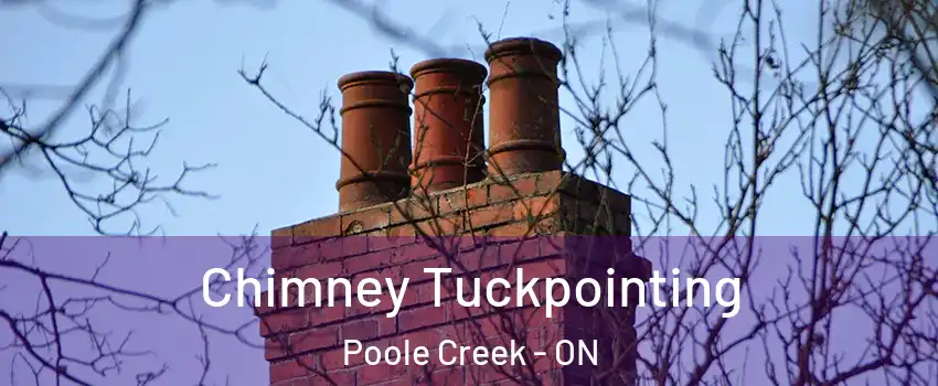  Chimney Tuckpointing Poole Creek - ON
