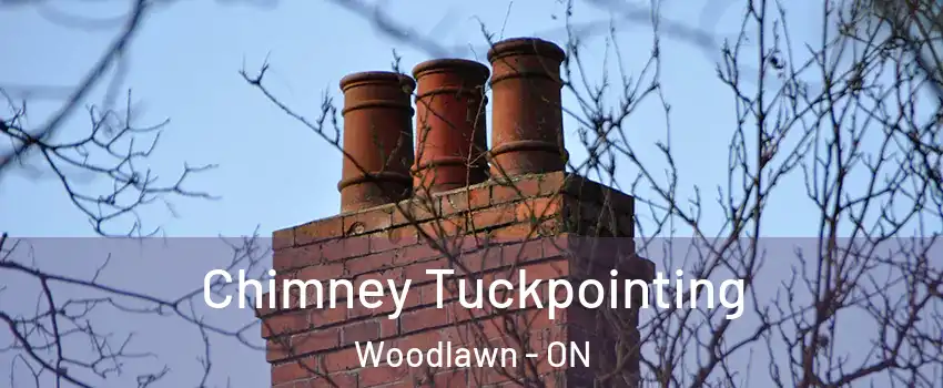  Chimney Tuckpointing Woodlawn - ON