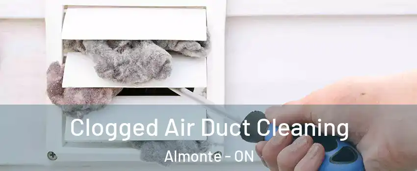  Clogged Air Duct Cleaning Almonte - ON
