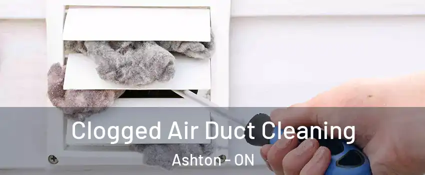  Clogged Air Duct Cleaning Ashton - ON