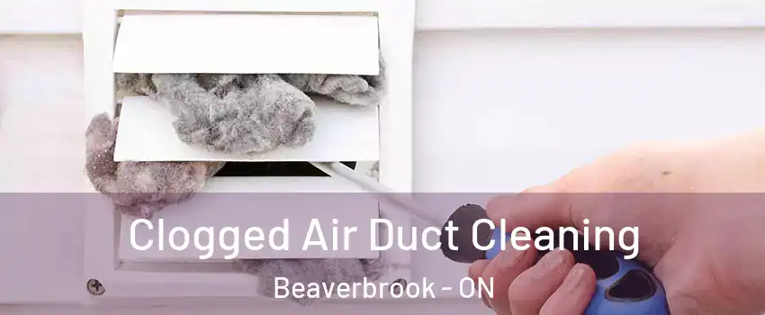  Clogged Air Duct Cleaning Beaverbrook - ON