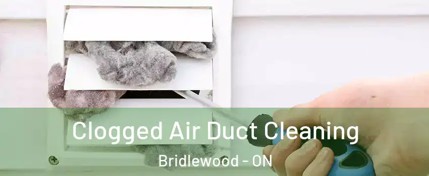  Clogged Air Duct Cleaning Bridlewood - ON