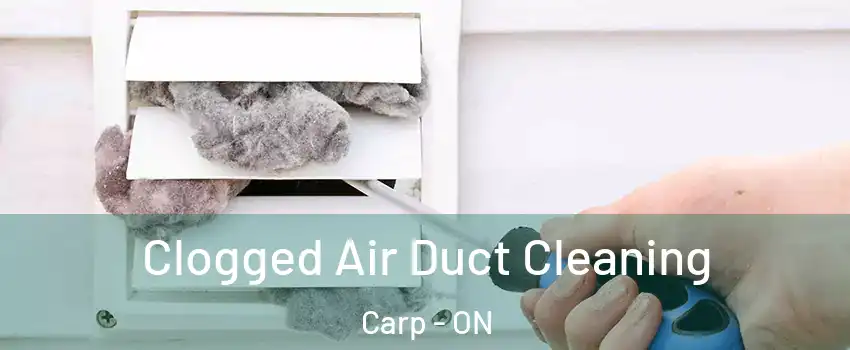 Clogged Air Duct Cleaning Carp - ON