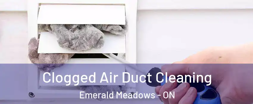 Clogged Air Duct Cleaning Emerald Meadows - ON