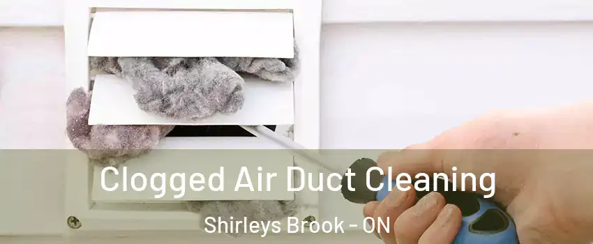  Clogged Air Duct Cleaning Shirleys Brook - ON