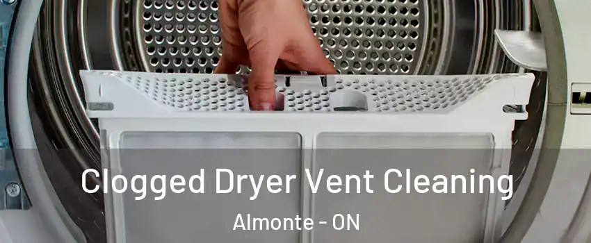  Clogged Dryer Vent Cleaning Almonte - ON