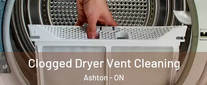  Clogged Dryer Vent Cleaning Ashton - ON