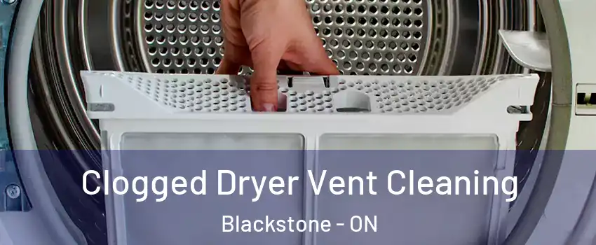  Clogged Dryer Vent Cleaning Blackstone - ON