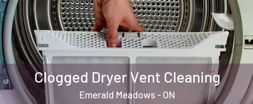  Clogged Dryer Vent Cleaning Emerald Meadows - ON