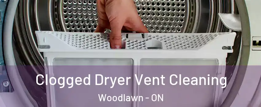  Clogged Dryer Vent Cleaning Woodlawn - ON