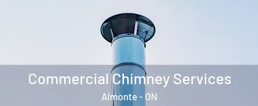  Commercial Chimney Services Almonte - ON