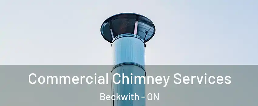  Commercial Chimney Services Beckwith - ON