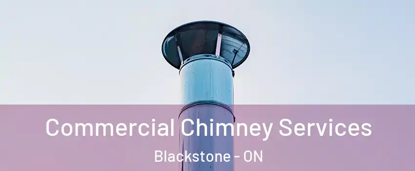 Commercial Chimney Services Blackstone - ON