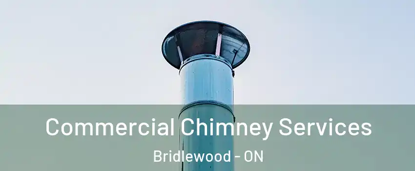  Commercial Chimney Services Bridlewood - ON