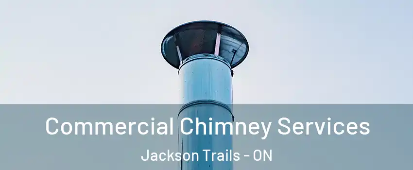  Commercial Chimney Services Jackson Trails - ON