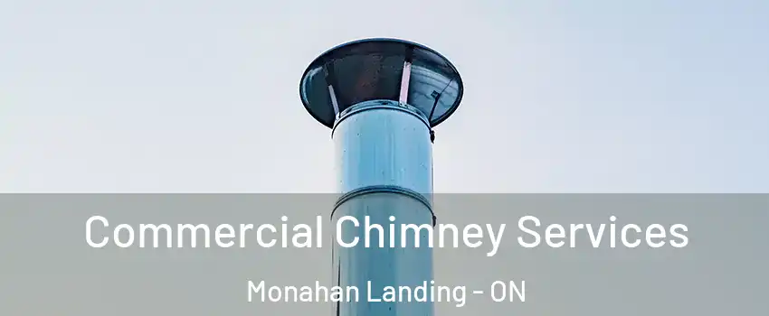  Commercial Chimney Services Monahan Landing - ON